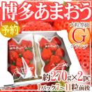 福岡産 博多 ”あまおういちご” 等級G（グランデ） 1箱 2パック入り（1パック約270g） 