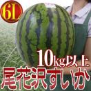 山形県産 ”尾花沢スイカ” 6Lサイズ 1玉約10kg以上 ちょっと訳あり 