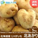 【出荷中】越冬 じゃがいも 北海道産 きたあかり 5kg ジャガイモ 馬鈴薯 北海道 お取り寄せ 