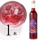果実酢　飲むおいしい酢ブルーベリー500mlフルーツビネガー 日本自然発酵PayPayモール店 - 通販 - PayPayモール