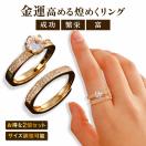 メール便対応 風水 財運 開運 金運 願望成就 プレミアムラッキー...