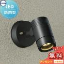 スポットライト DOL-4587YBE ダイクロハロゲン65ｗ相当 黒色  エクステリア 屋外 ...