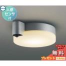 軒下シーリング AU50481 FCL30Wクラス 人感センサー ブライトシルバー  エクステリ...