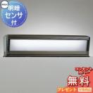 ポーチライト OG554457R  エクステリア 屋外 照明 ライト オーデリックODELIC FL15...