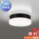 ポーチライト OW269040R 昼白色 FCL30W相当 黒色  エクステリア 屋外 照明 ライト ...