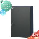 コルディア120ライト ポスト無し   【無料★特典対象】  UNISON ユニソン COLDIA 右...
