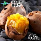 安納芋 種子島 焼き芋 サツマイモ さつまいも 芋 15-25本 計5kg 産地直送 ギフト 