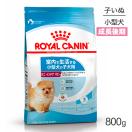ロイヤルカナン SHN ミニ インドア パピー 室内で生活する小型犬 成長後期の子犬用 生後10ヵ月齢まで 800g (犬・ドッグ)[正規品]