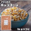 ポップコーン 1kg×3袋 まめやの底力 お徳用 手作り Pop Corn 豆...