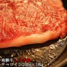 グルメ ステーキ 飛騨牛 焼き肉 bbq バーベキュー 牛肉 お肉 肉 サーロイン 送料無料 A5等級 サーロインステーキ 200g×３枚 