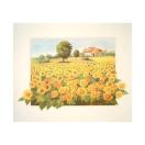 シートサイズ：500X600mm