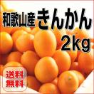 きんかん/金柑　2kg 和歌山産 訳あり・家庭用 