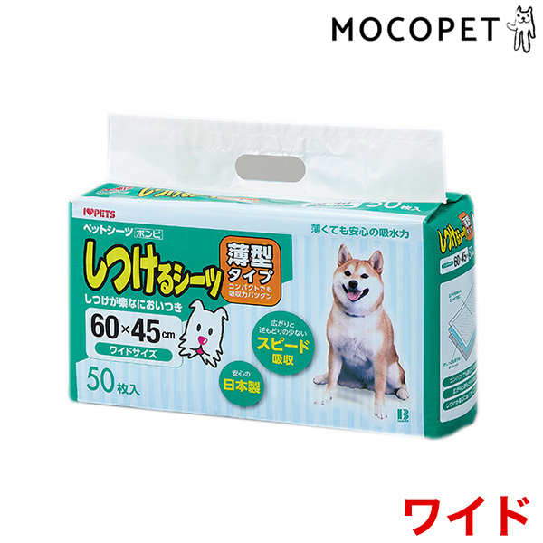 ワイド 50枚 / 1個