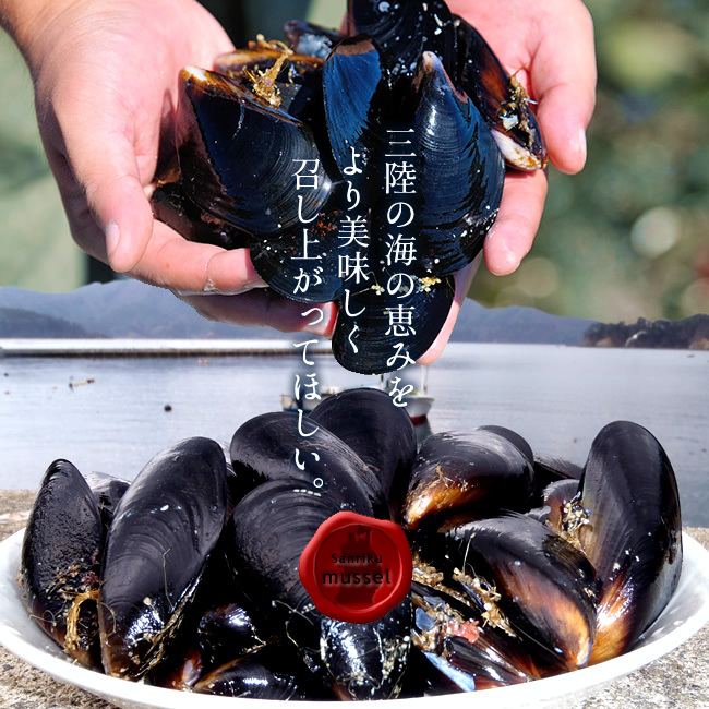  mussel three land .. mussel 200g×5 sack set male ... sea . mountain. . taste .. Miyagi prefecture production .. direct delivery m-rugai purple .[ Father's day gift 2024]