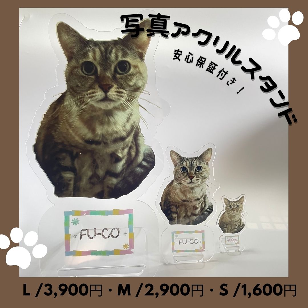  photograph acrylic fiber stand acrylic fiber stand photo stand pet photo plate dog cat love dog love cat memorial goods goods custom-made pet Roth picture frame 