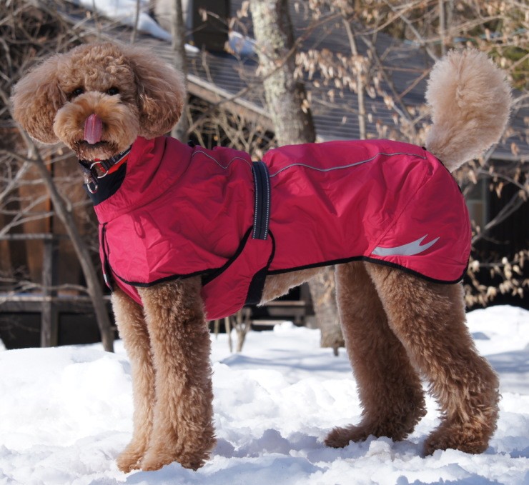 Hurtta ドッグレインコート トレントコート 大型犬用の商品画像