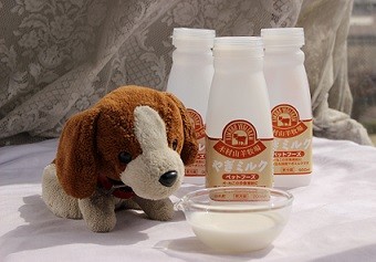  for pets goat milk 200ml [ freezing ]