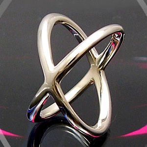 �V���o�[�N���X�����O