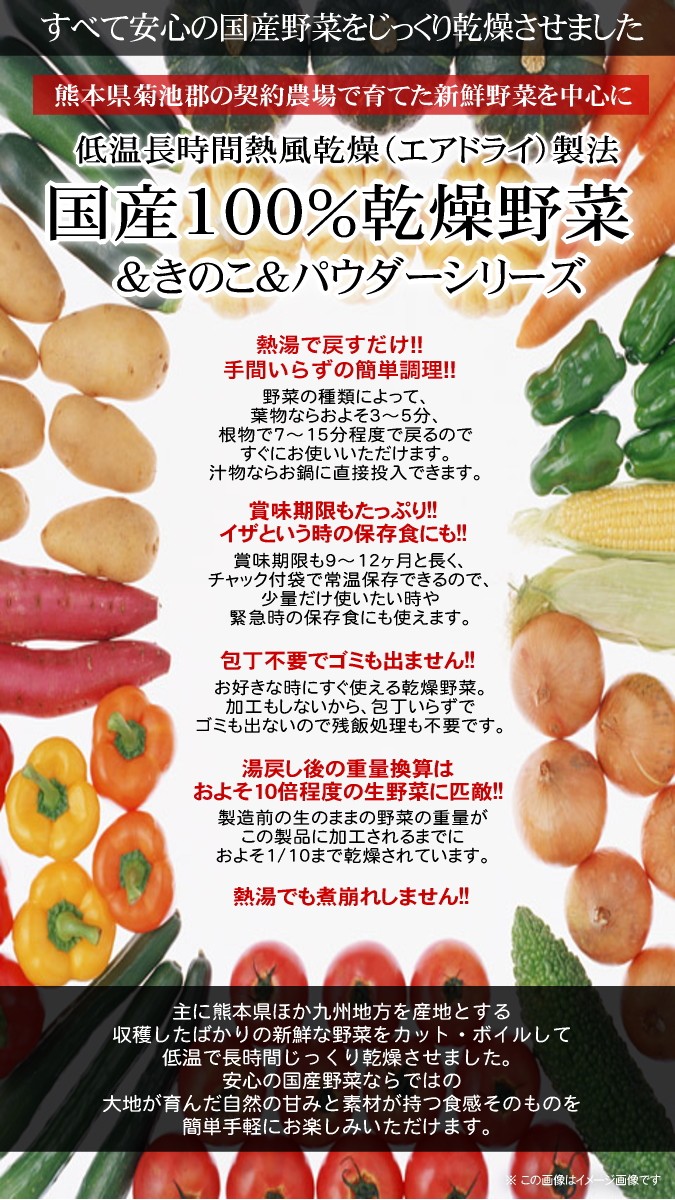  местного производства сухой овощи серии сухой китайская капуста 1kg Kumamoto префектура производство 100%