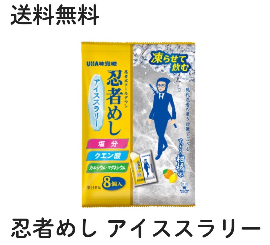 UHA味覚糖 忍者めし アイススラリー すっきり柑橘系味 1袋 (22g×8個入