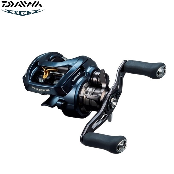 DAIWA（釣り） 23 スティーズA2 TW 1000HL 釣り ベイトリール - 最安値 