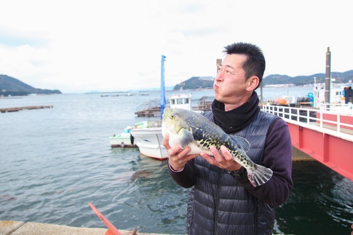  pine course fugu nabe .. sashimi soft roe set (2 portion ) Awaji Island 3 year ..... man water production 