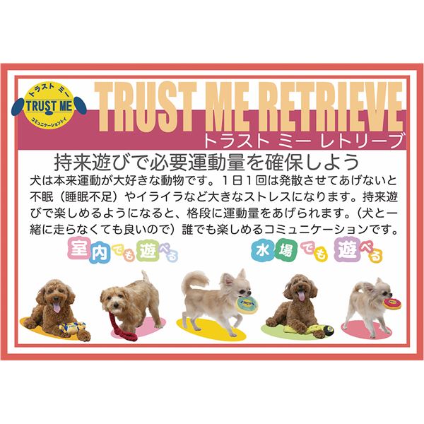 ( summarize ) Trust mi-reto Lee b outdoors for disk Mini sun ( pet accessories * dog for ) (×3 set )