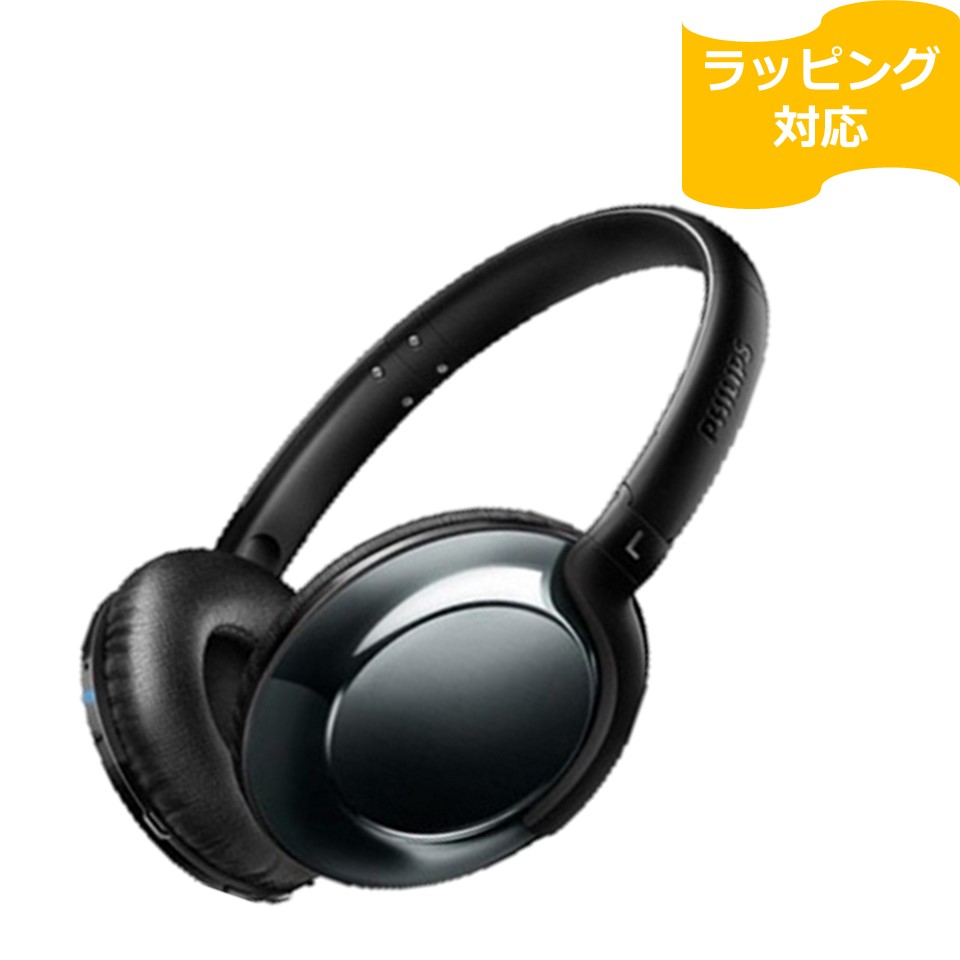 Philips SHB4805DC （ダーククロム） ヘッドホン本体の商品画像