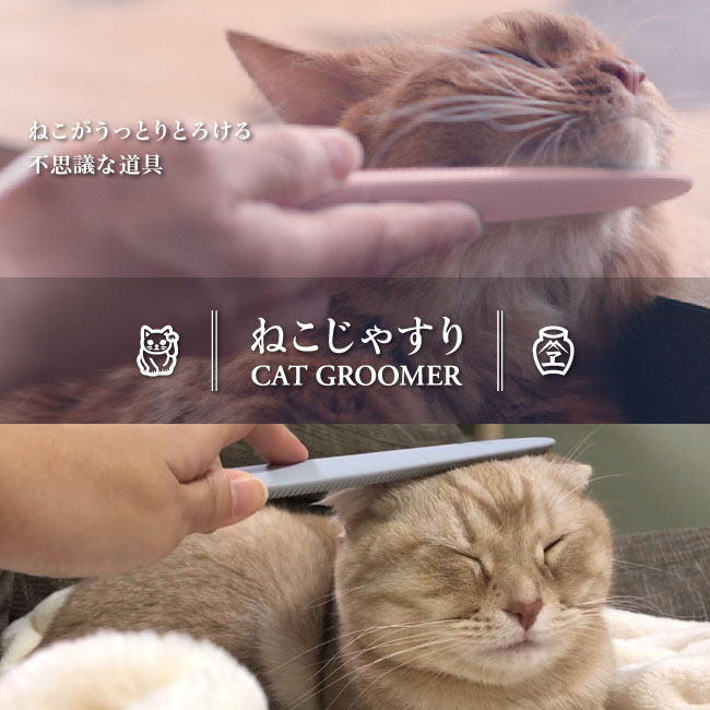 wataoka cat groomer