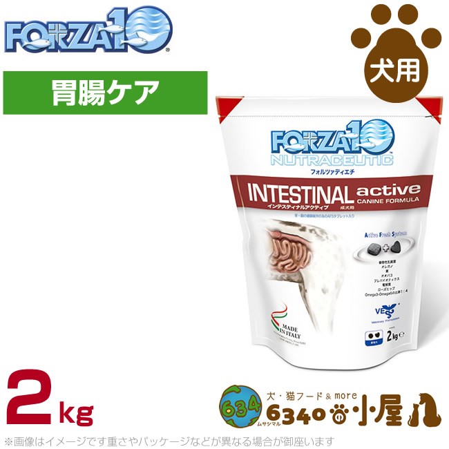 FORZA10 アクティブライン インテスティナルアクティブ 小粒 2kg ドッグフード 療法食、療養食の商品画像