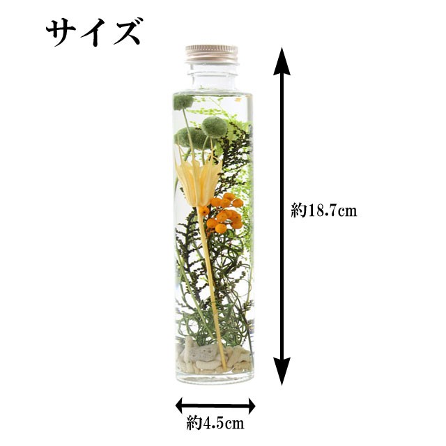 ハーバリウム プランドヴィー 花材 オイル 瓶 花 植物 ギフト