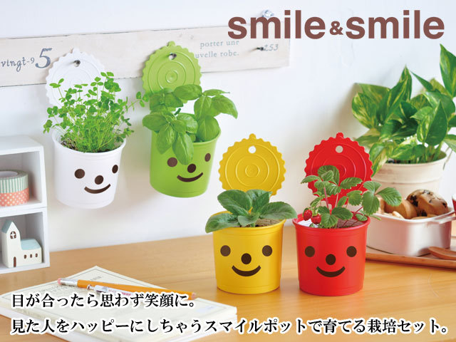 栽培キット かわいい 栽培セット Smile Smile スマイル スマイル バジル クローバー ワイルドストロベリー ミニヒマワリ ヒマワリ 室内 プレゼント Sst022 癒しグッズ専門店 なごみ 通販 Yahoo ショッピング