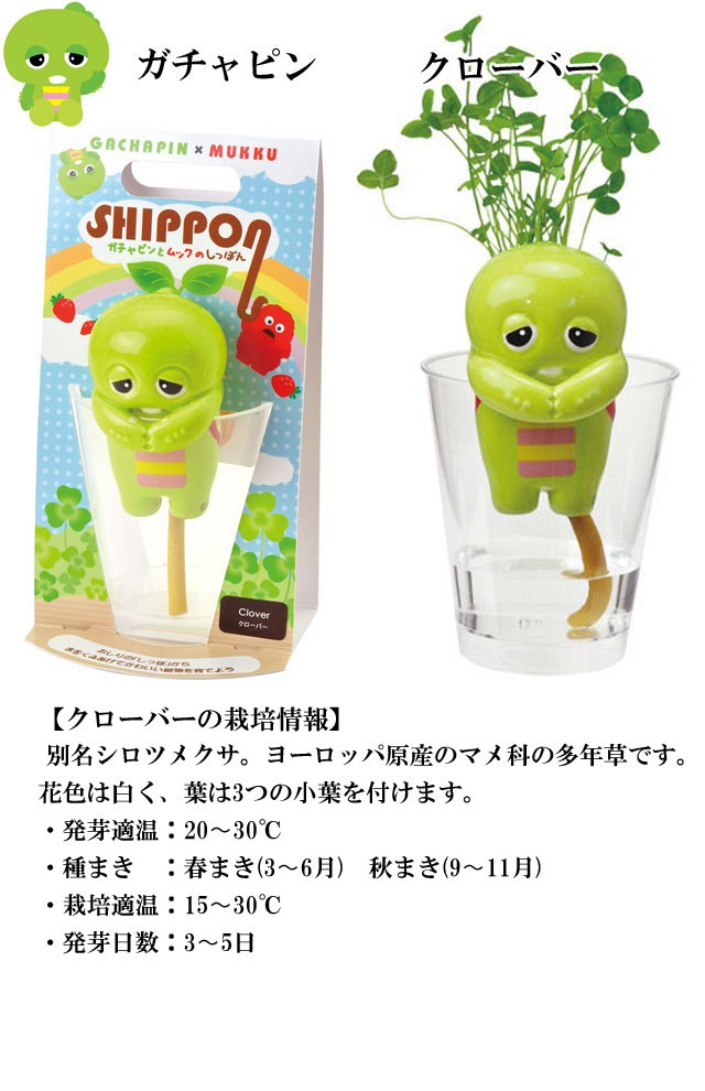 最も優遇 ガチャピンとムックのしっぽん 植物栽培キット ガチャピン クローバー 72点 返品送料無料 Wakilike Co Ke