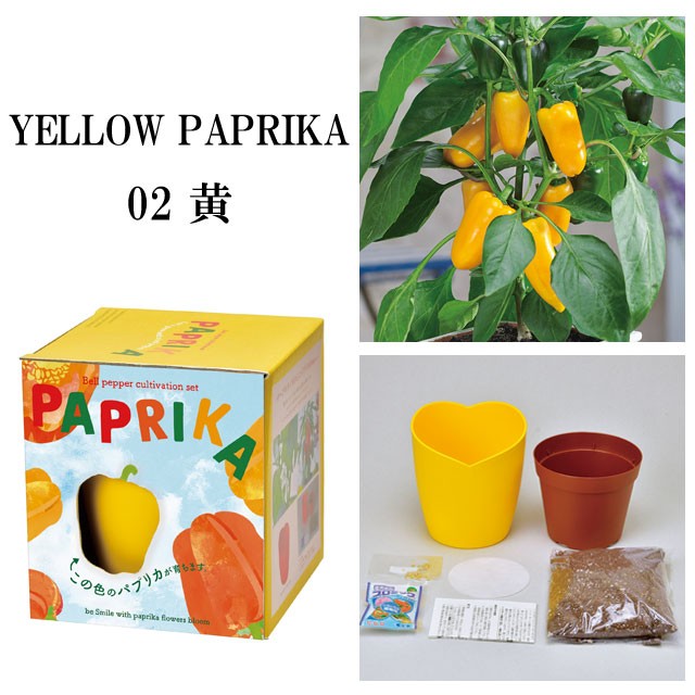 栽培キット Paprika パプリカ 栽培セット 栽培 セット キット 種 野菜 かわいい おしゃれ ギフト グリーン インテリア 置物 グッズ Sst5 癒しグッズ専門店 なごみ 通販 Yahoo ショッピング