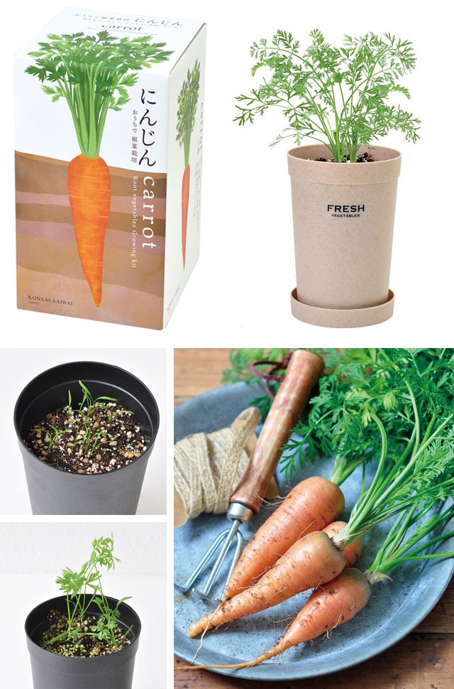 栽培キット おうちで 根菜栽培 だいこん にんじん ごぼう 栽培セット 種 野菜 大根 人参 ダイコン ニンジン ゴボウ かわいい ギフト グリーン インテリア Sst221 癒しグッズ専門店 なごみ 通販 Yahoo ショッピング
