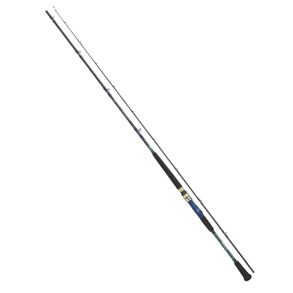 DAIWA（釣り） アナリスター 64 30-330 ANALYSTAR 釣り 船竿 - 最安値