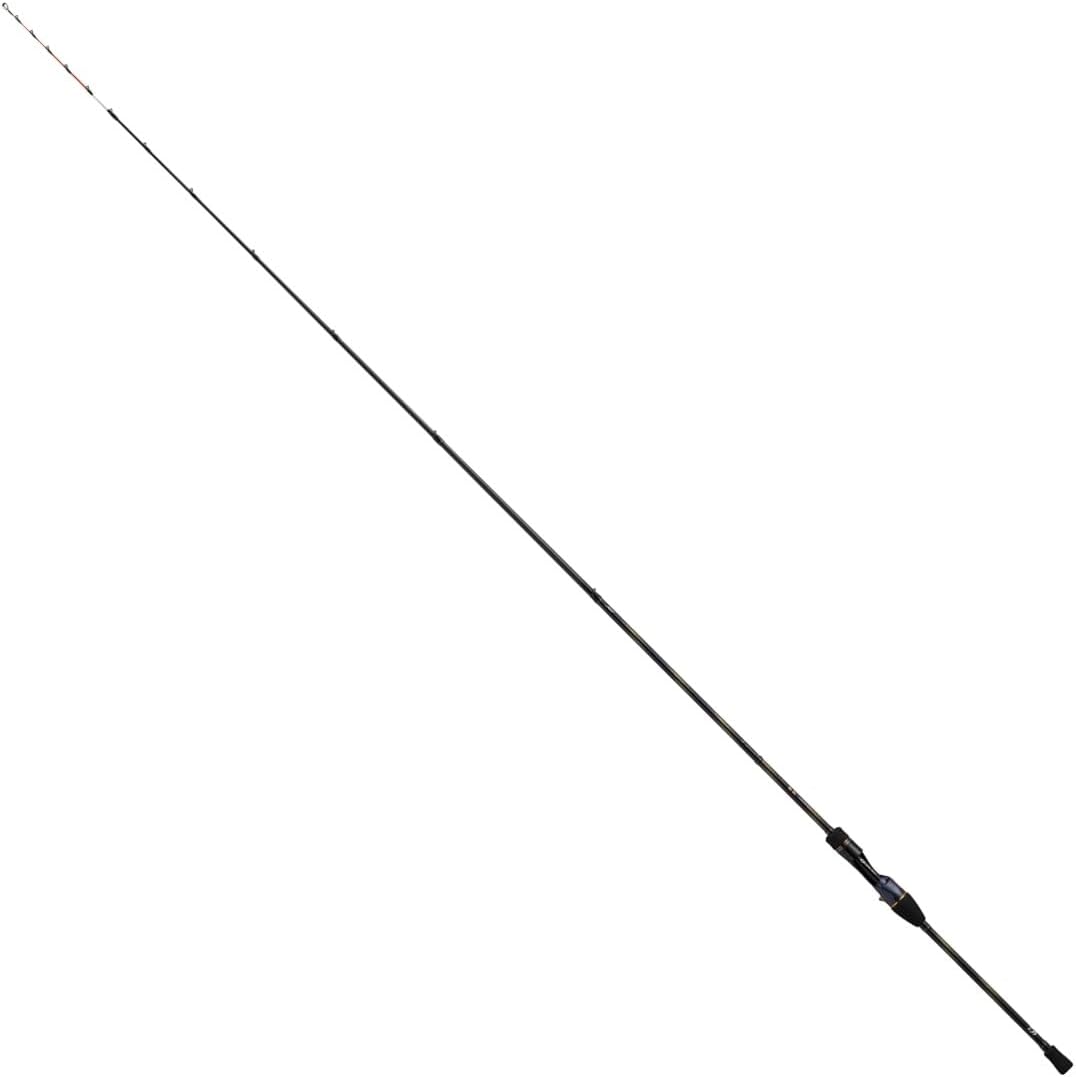 DAIWA（釣り） 24 極鋭カワハギ EX VS 極鋭 釣り 船竿 - 最安値・価格
