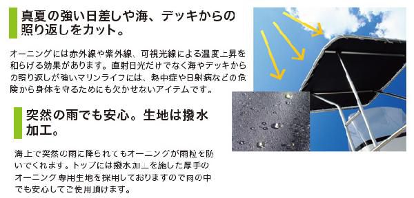 ビミニトップ