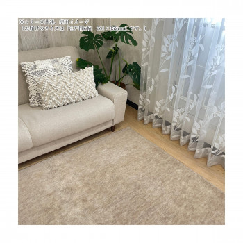 ペットの爪がひっかかりにくい 抗菌防臭 平織りカーペット 6畳 261×352cm（ベージュ）の商品画像