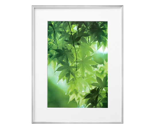 HAKUBA ZEROフレーム G-01 A3サイズ FZG01-A3SV （シルバー）の商品画像