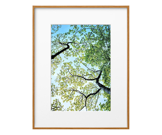 HAKUBA ZEROフレーム G-01 A4サイズ FZG01-A4NT （ナチュラル）の商品画像