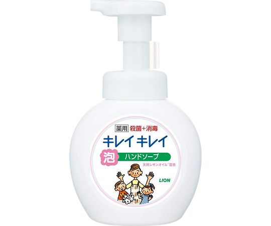 キレイキレイ 薬用泡ハンドソープ シトラスフルーティ 本体/250ml×1の商品画像