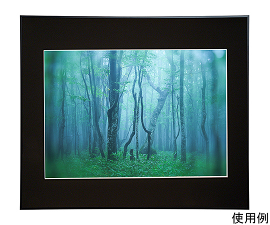 ケンコー・トキナー ギャラリー A2 AGY-A2-BK （ブラック） 写真立て、フォトフレームの商品画像