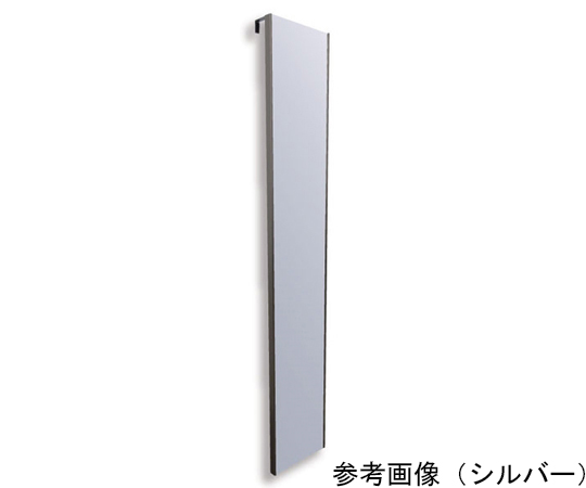 リフェクス ミラー ドアフック RMH-20（シャンパンゴールド） 壁掛け鏡、ウォールミラーの商品画像