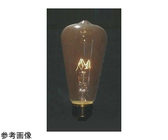 岩崎電気 アイ セルフバラスト水銀ランプ BHF100/110V500W ×1 白熱電球
