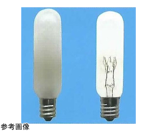 岩崎電気 アイ セルフバラスト水銀ランプ BHF100/110V500W ×1 白熱電球