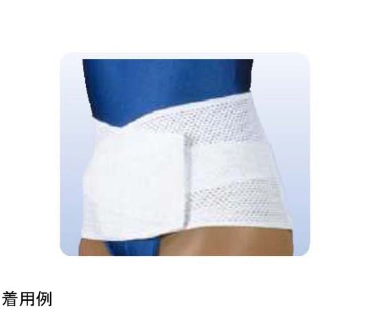 ミノウラ 山田式 骨盤Wフィット L×1の商品画像