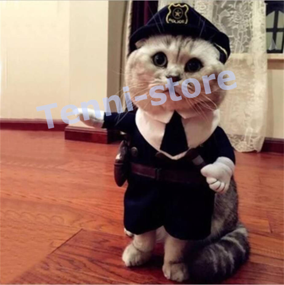  Halo we n Halloween .. Chan кошка Chan костюм домашнее животное .. Chan костюм костюмированная игра kau Boy полиция море . костюм 