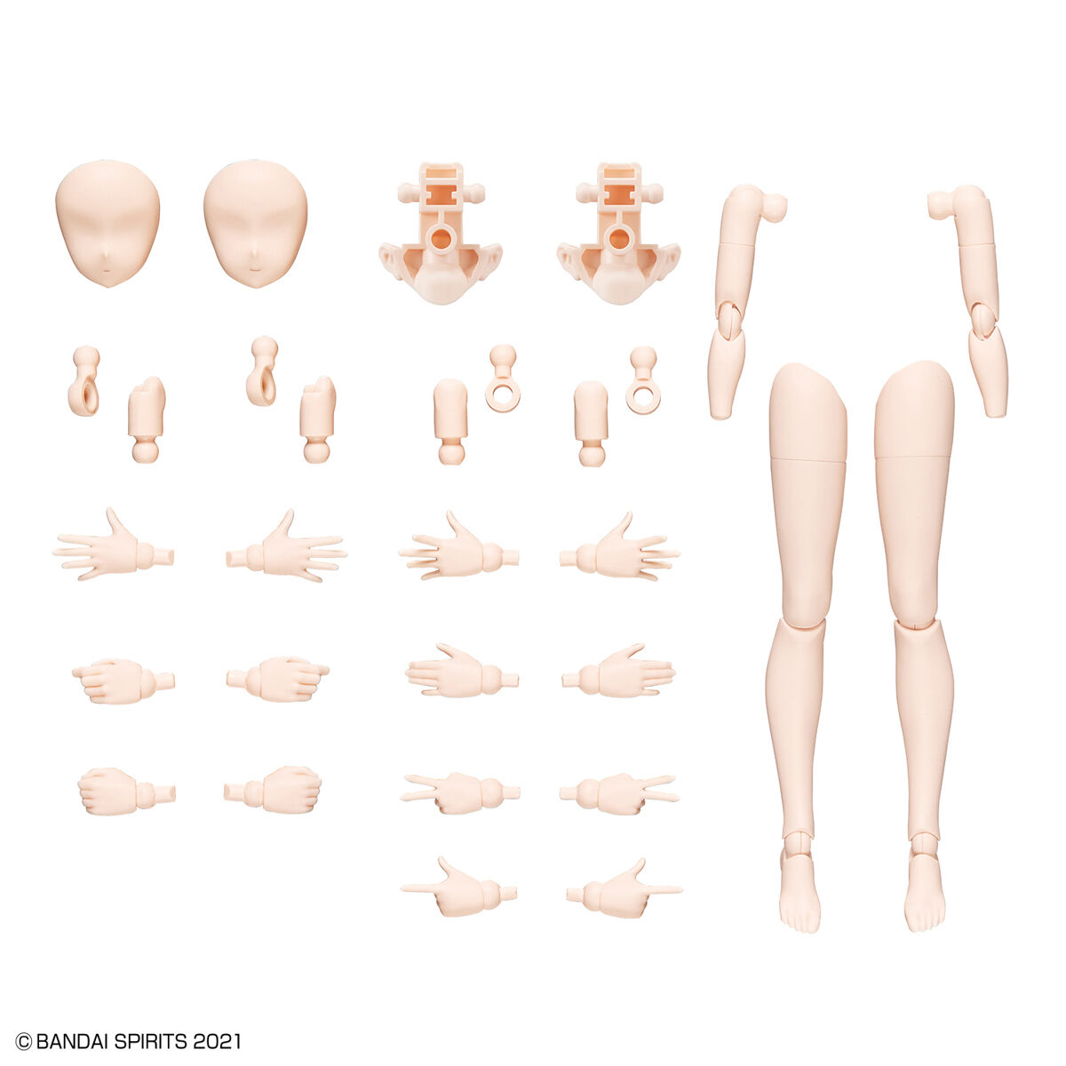 BANDAI BANDAI HOBBY/30MS OPTION BODY PARTS ARM PARTS ＆ LEG PARTS [COLO （2022/10/31発売） （フィギュア） キャラクターの商品画像
