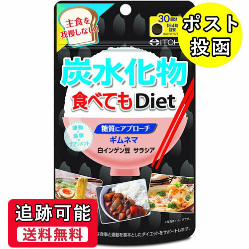 井藤漢方製薬 炭水化物食べてもDiet 30回分/120粒×1
